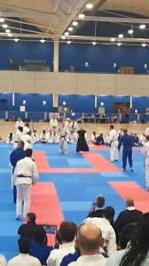 Image result for Kingston University Jiu Jitsu Club, Surrey