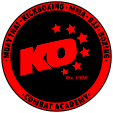 Image result for combat academy uk