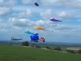 Image result for White Horse Kite Fliers Club