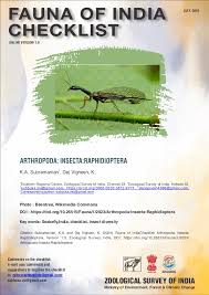 Attēlu rezultāti vaicājumam “Raphidioptera imago”