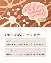 Image result for 衝動制御障害BPD