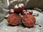 Afbeeldingsresultaat voor purple calabash tomato