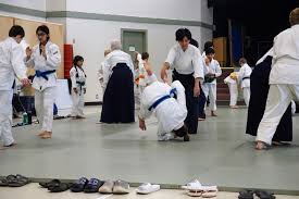 Image result for Bracknell Aikido Club