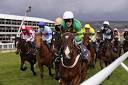 2012 Cheltenham Festival Preview: The Supreme Novices' Hurdle