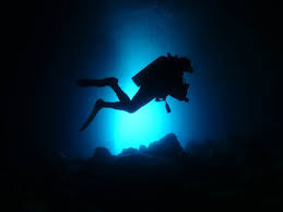 Image result for Belper Sub Aqua