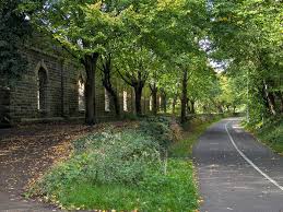 Image result for Bristol Orienteering Klub