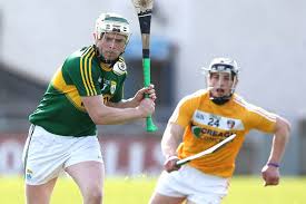 Image result for Causeway Hurling Club