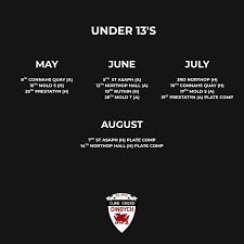 Image result for Prestatyn Cricket Club