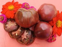 Afbeeldingsresultaat voor black sea man tomato