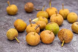 Attēlu rezultāti vaicājumam “Pyrus pyraster fruit”