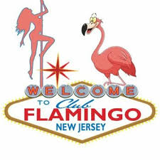 Image result for Flamingo Cricket Club