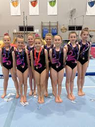 Image result for Diamonds Gymnastics Club