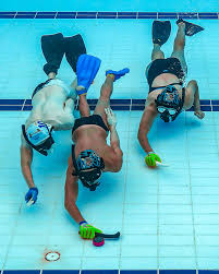 Image result for Great Yarmouth Octopush Club