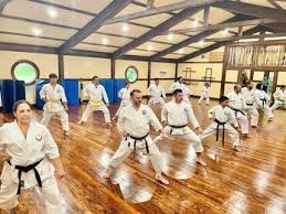 Image result for Blackpool Budokan Martial Arts