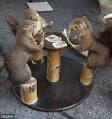Squirrel Appreciation Day is a