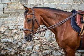 Image result for scheuklappen