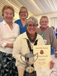 Image result for Watchet Bowls Club
