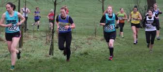 Image result for Wirral Athletics Club