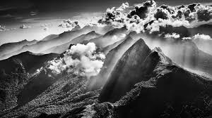 Image result for sebastiao salgado