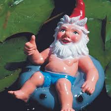 Image result for Gartenzwerg