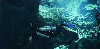 Image result for Mole Valley Sub Aqua Club