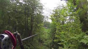 Image result for Go Ape! Leeds Castle