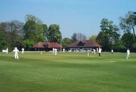 Image result for Sawbridgeworth Cricket Club