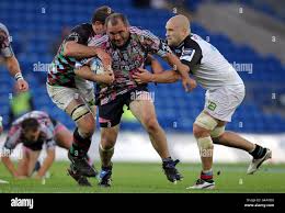 Image result for Cardiff Harlequins