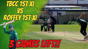 Image result for Three Bridges Cricket Club