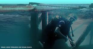 Image result for Three Seas Diving