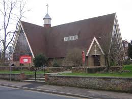 Image result for Salfords Cricket Club