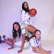 Image result for Hinckley & Bosworth Lady Hoops Basketball Club