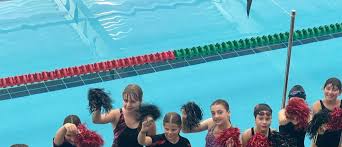 Image result for Rykneld Sharley Park Swimming Club