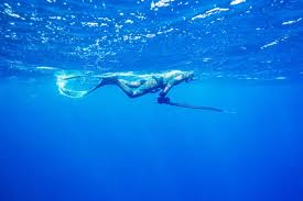 Image result for Blue Water Diving