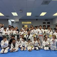 Image result for Dragon Martial Arts Association