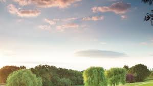 Image result for Moore Place Golf Club