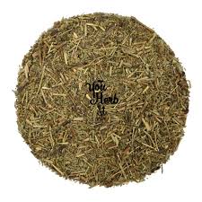 Attēlu rezultāti vaicājumam “Herniaria glabra leaf”