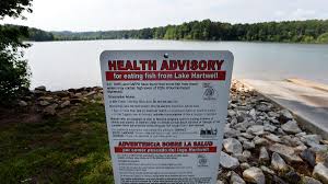 Image result for Deben Sc