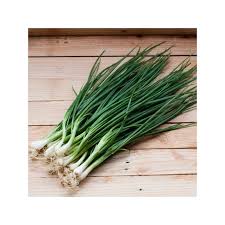 Résultat de recherche d'images pour "Allium fistulosum"