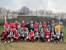 Image result for Redhill Girls Football Club