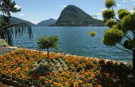 Image result for "Parco Ciani"