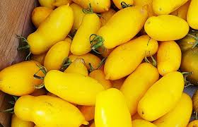 Afbeeldingsresultaat voor banana legs tomato