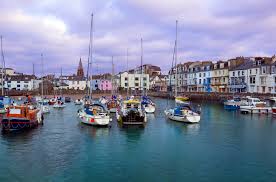 Image result for Ilfracombe & N Devon