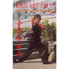 Image result for Tao So Choy Kung Fu Club, Hull