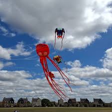 Image result for White Horse Kite Fliers Club