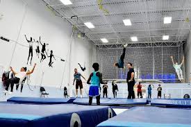 Image result for Cambourne Comets Trampoline Club