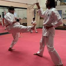 Image result for Colchester Wado Ryu Karate