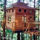 Tree House – Building Tips: The Family Handyman