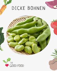 Image result for Dicke Bohnen