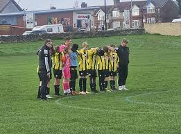Image result for Abbey Lane Junior Football Club